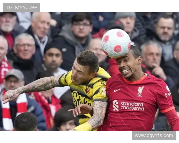 阿利松与戈麦斯意外相撞队医紧急救助后比赛得以继续进行